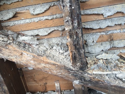 Rotten timber to bay