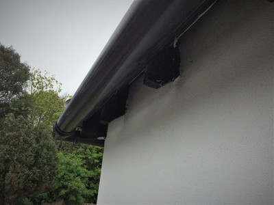 Open eaves guttering black half round deep flow